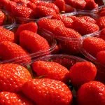 Fraises gariguette
