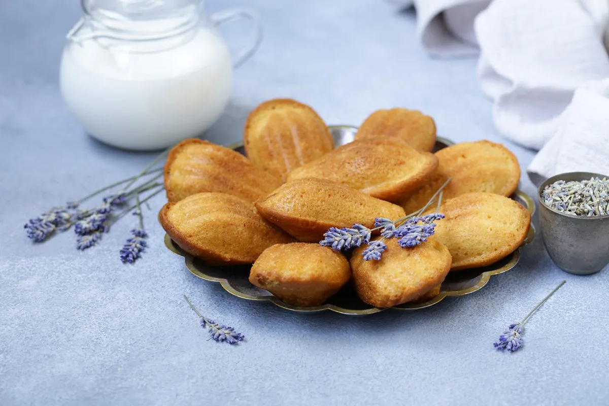Madeleine salée chèvre-miel