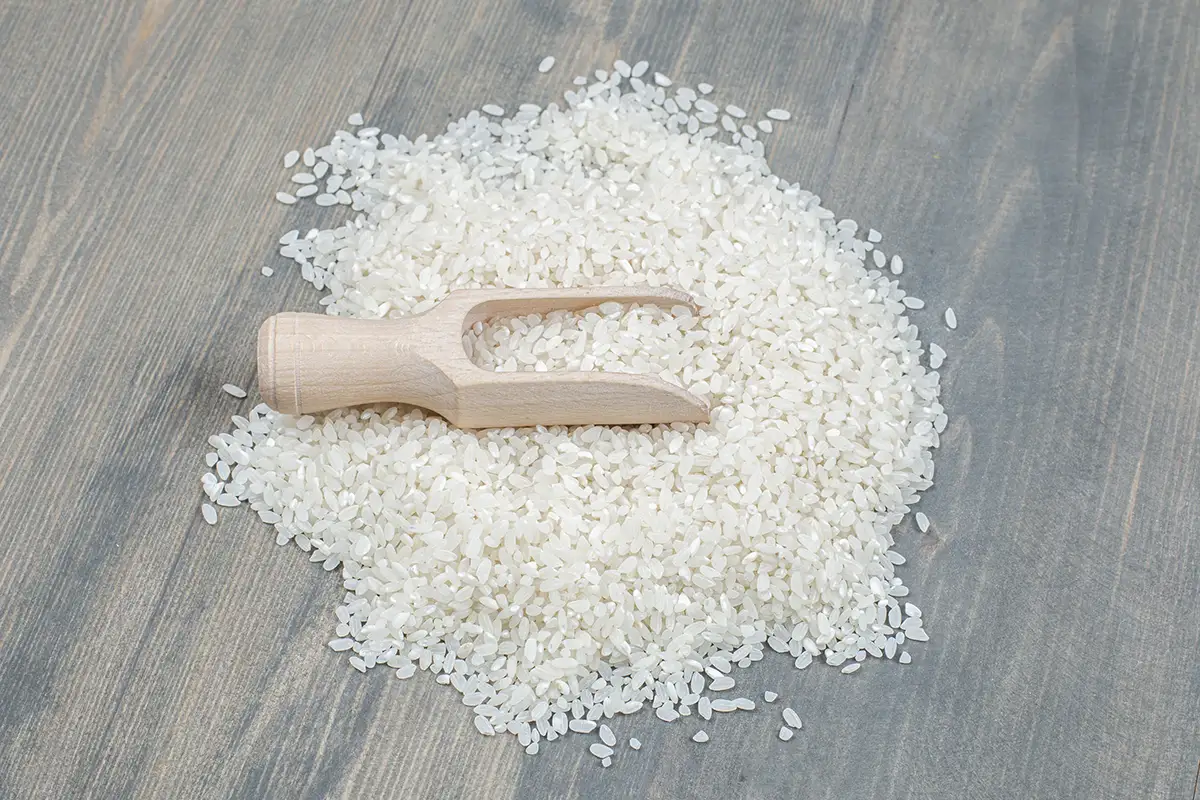 Riz de Camargue